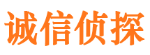 河南外遇调查取证